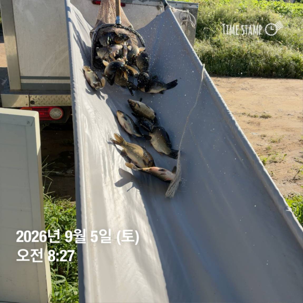 KakaoTalk_20260908_104821798_17.jpg