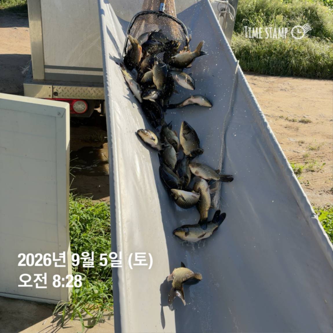KakaoTalk_20260908_104821798_19.jpg