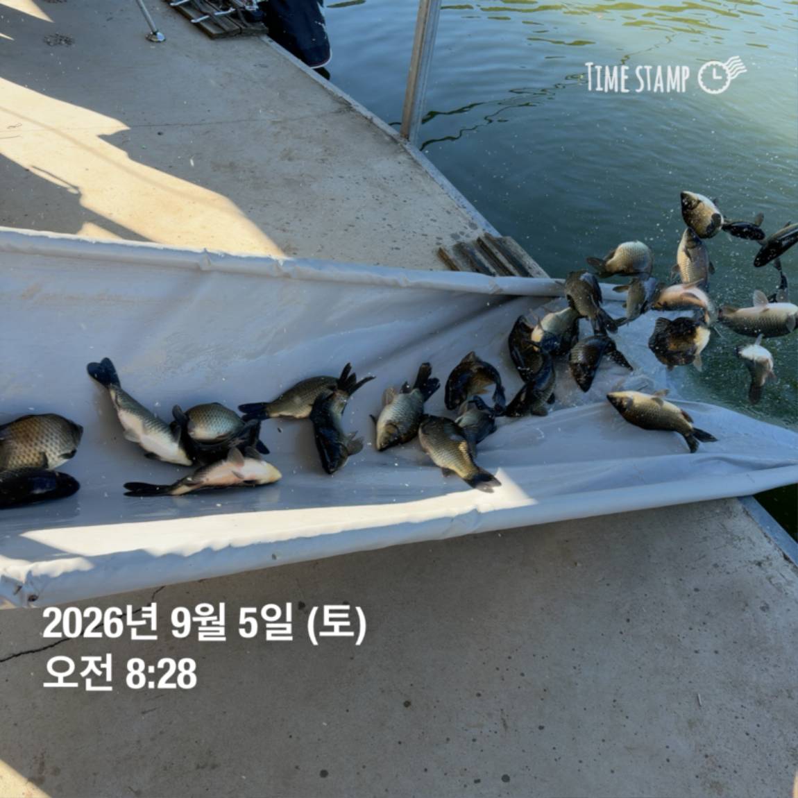 KakaoTalk_20260908_104821798_27.jpg