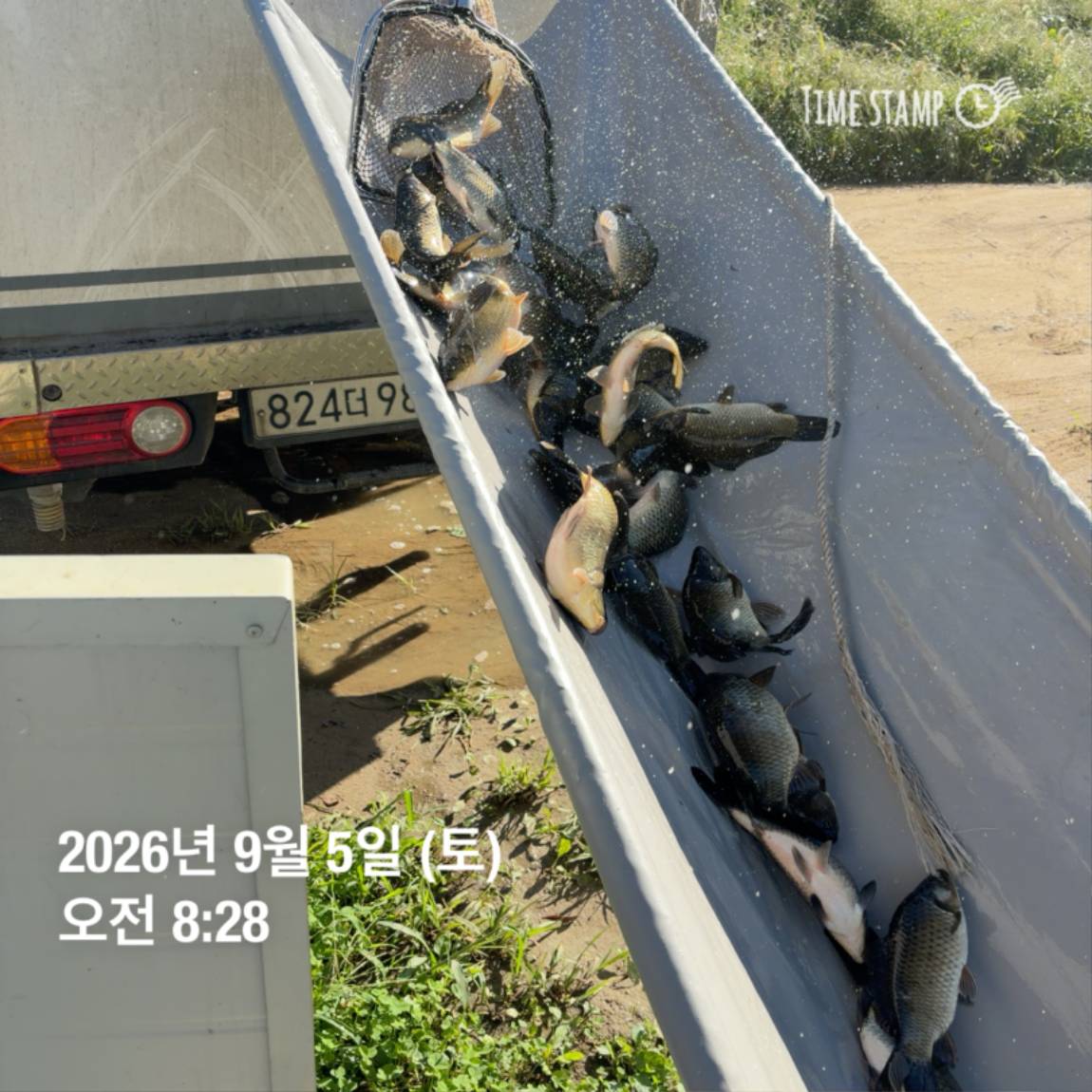 KakaoTalk_20260908_104821798_29.jpg