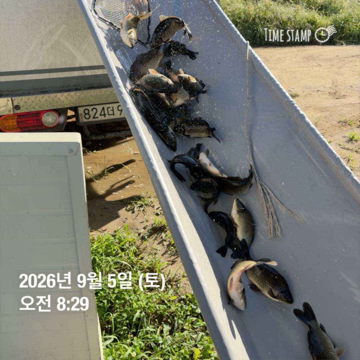 KakaoTalk_20260908_104842008_01.jpg