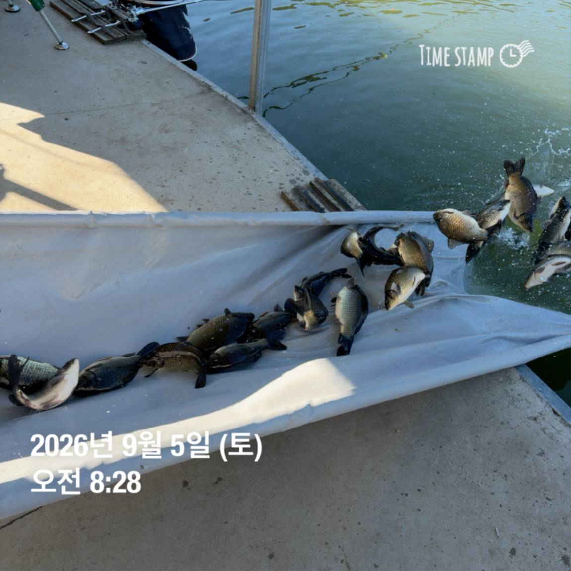 KakaoTalk_20260908_104842008.jpg