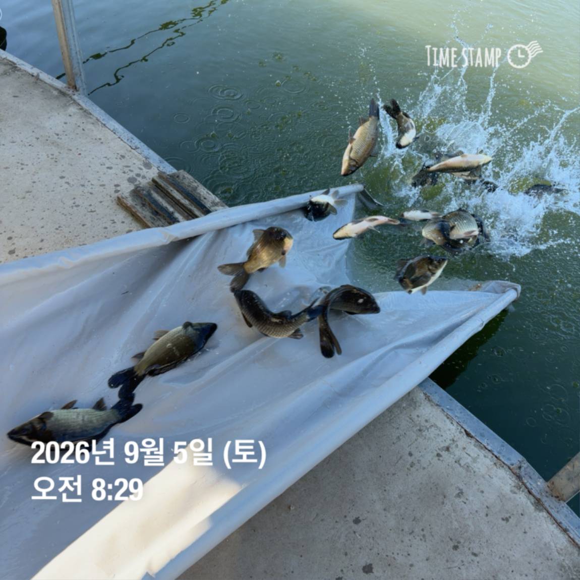 KakaoTalk_20260908_104842008_02.jpg