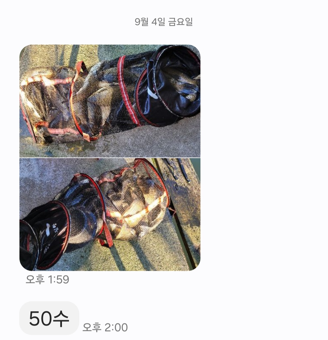 KakaoTalk_20260908_120155586.jpg