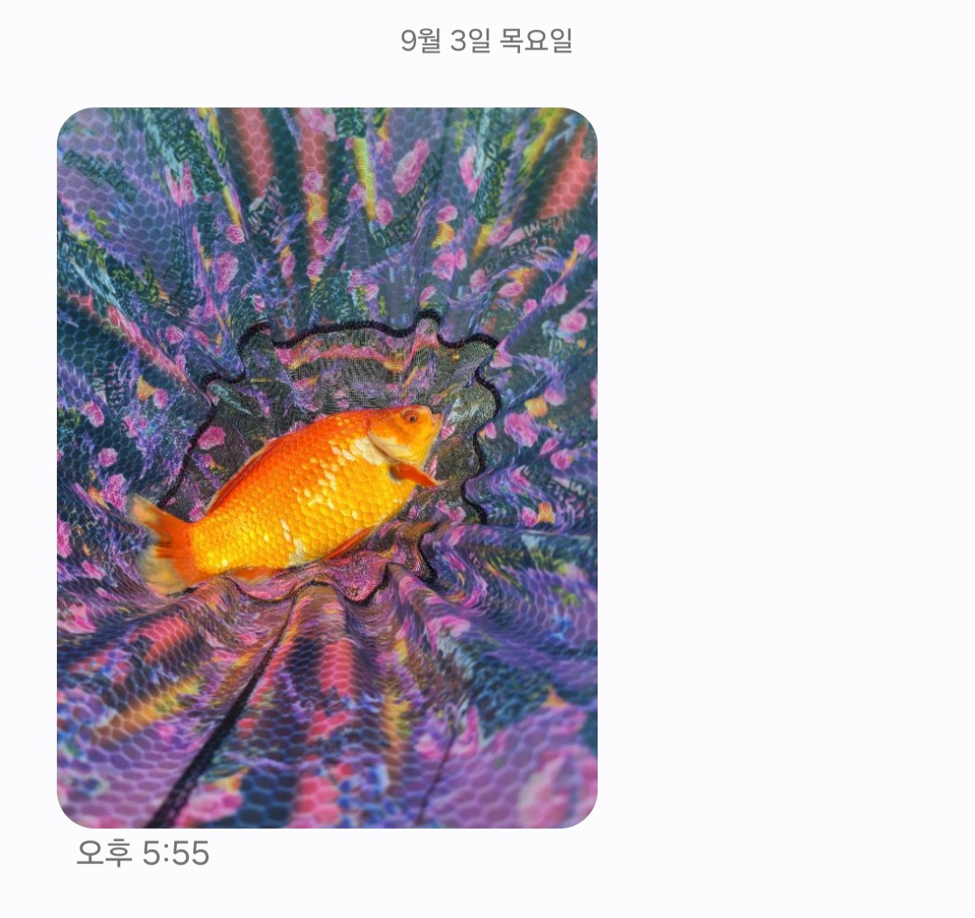 KakaoTalk_20260908_120155586_02.jpg