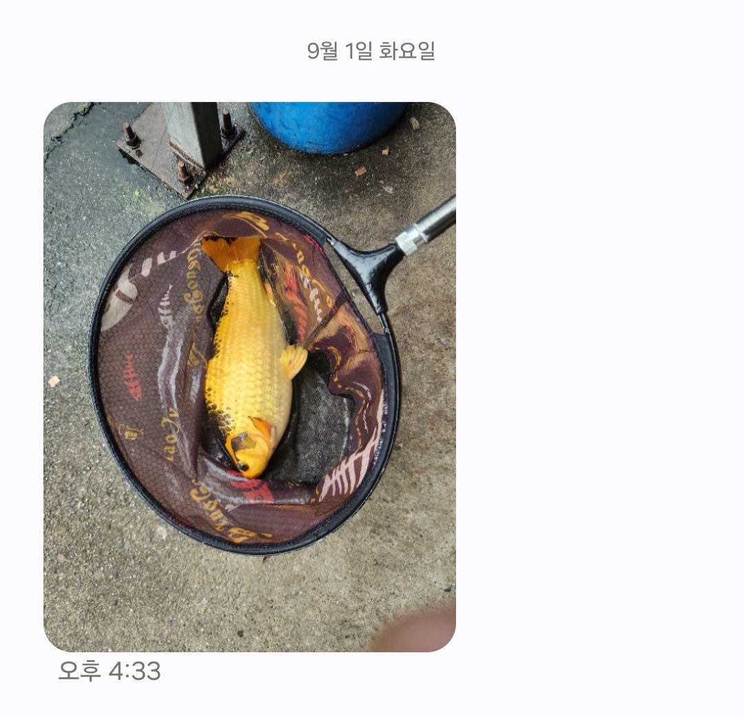 KakaoTalk_20260908_120155586_01.jpg