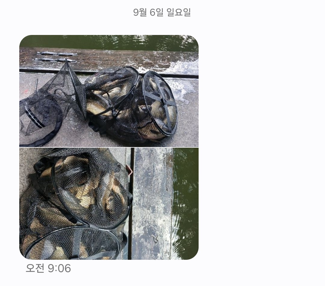 KakaoTalk_20260908_120155586_04.jpg