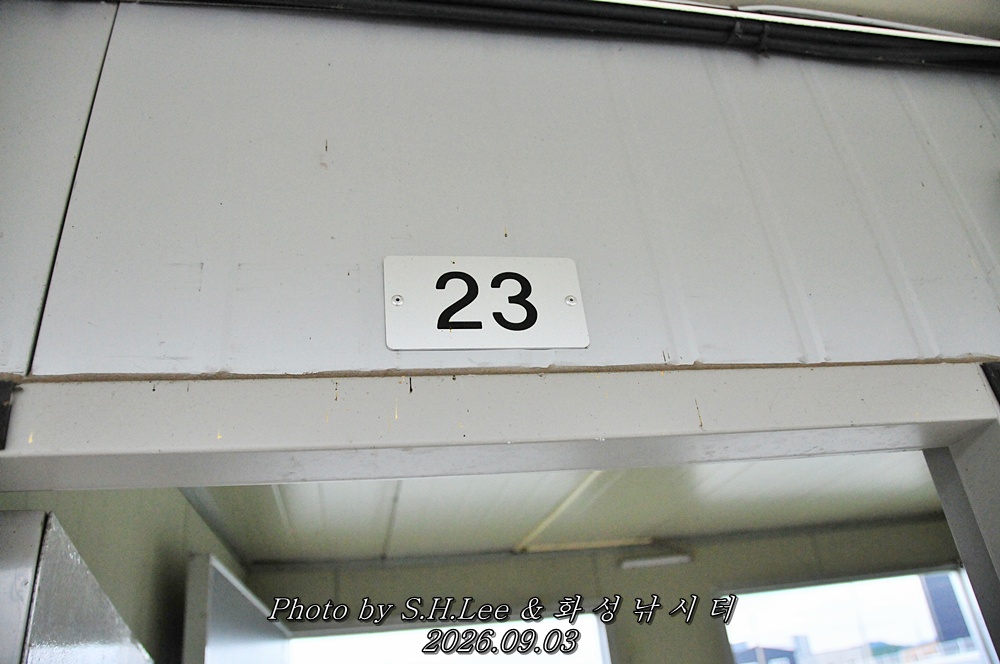 LSH_6496.JPG