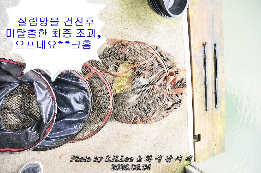 LSH_6515.JPG