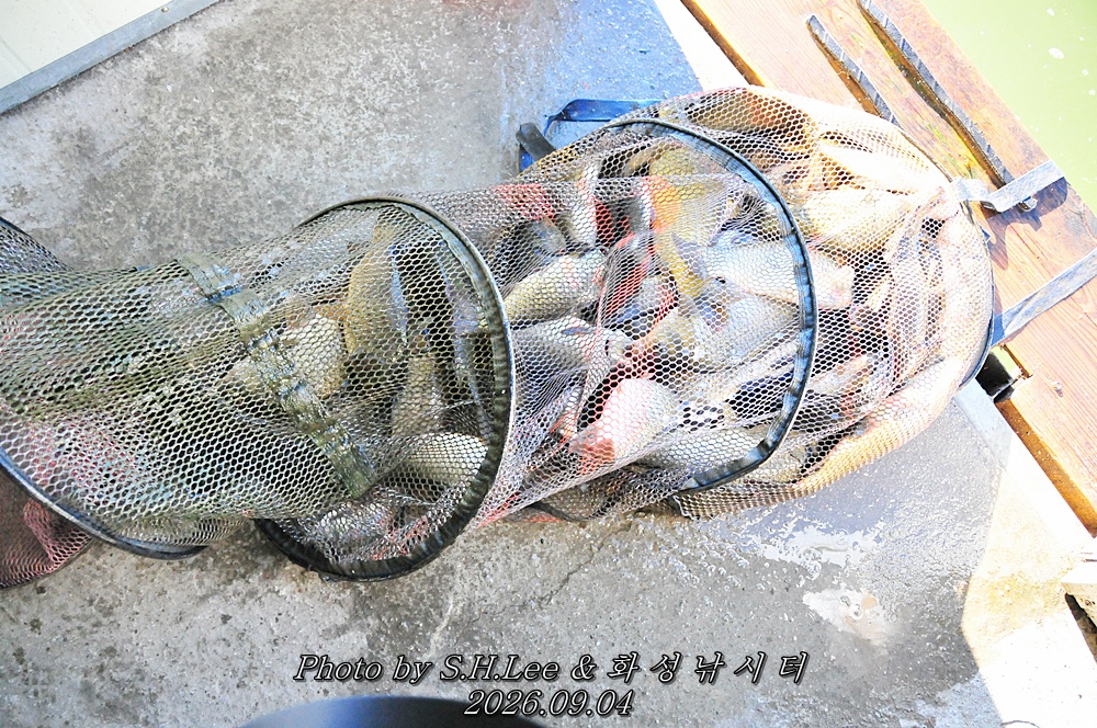 LSH_6520.JPG