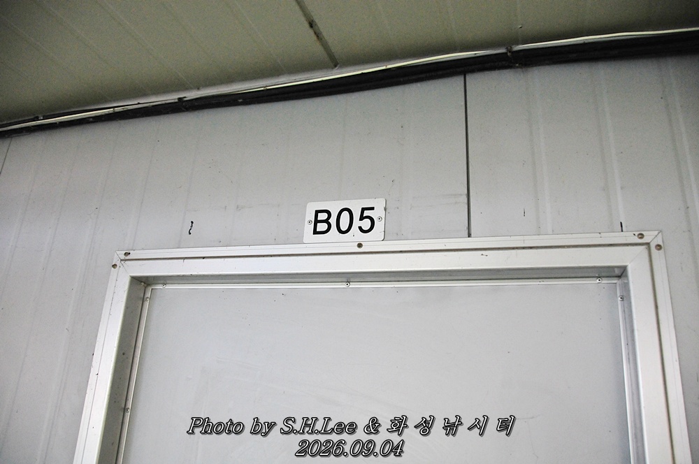 LSH_6519.JPG