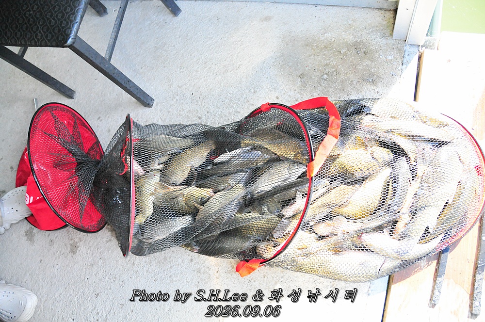 LSH_6529.JPG