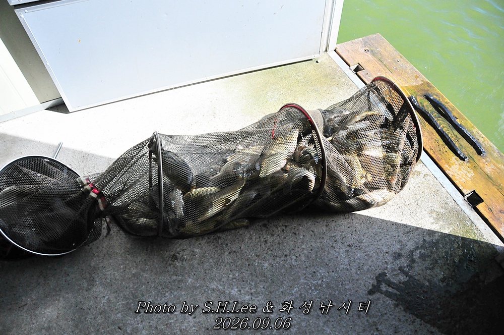LSH_6544.JPG