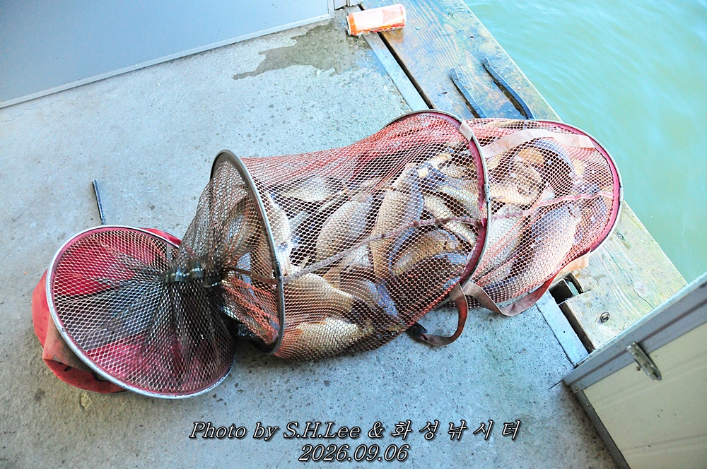 LSH_6547.JPG