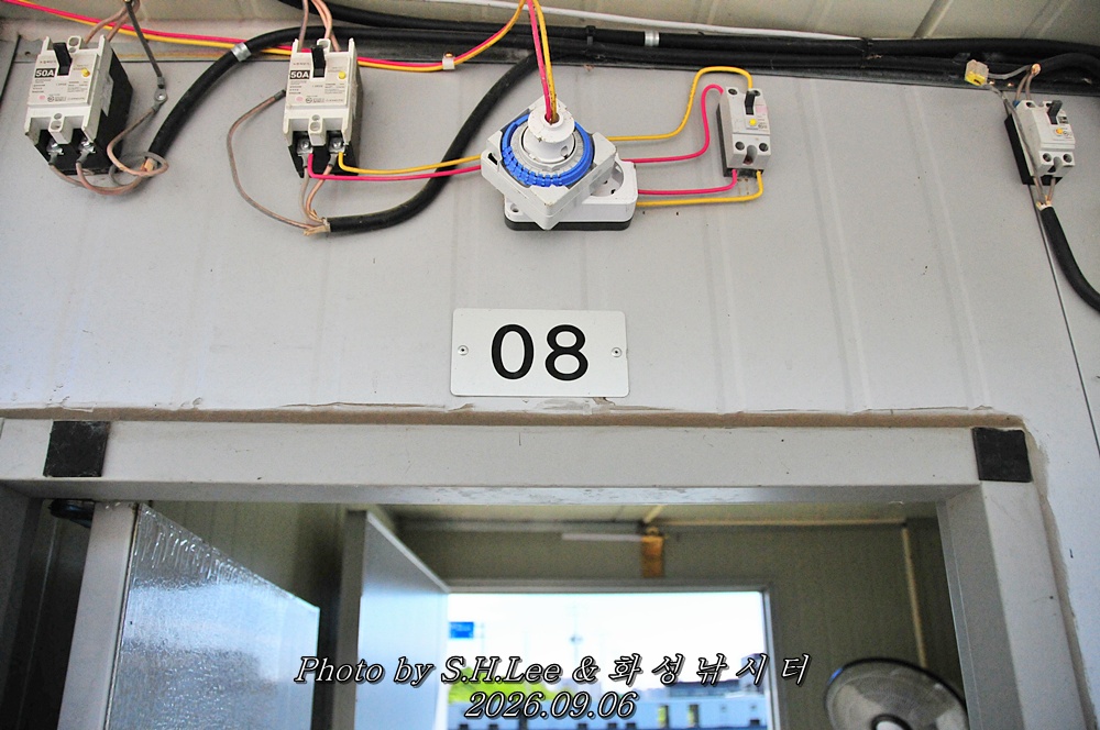 LSH_6561.JPG
