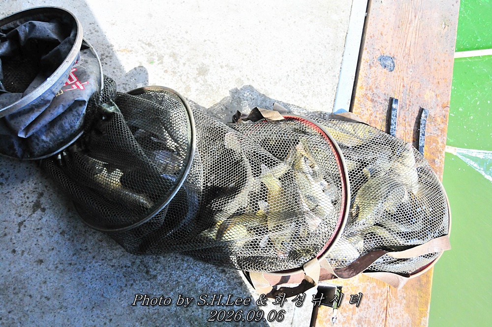 LSH_6563.JPG