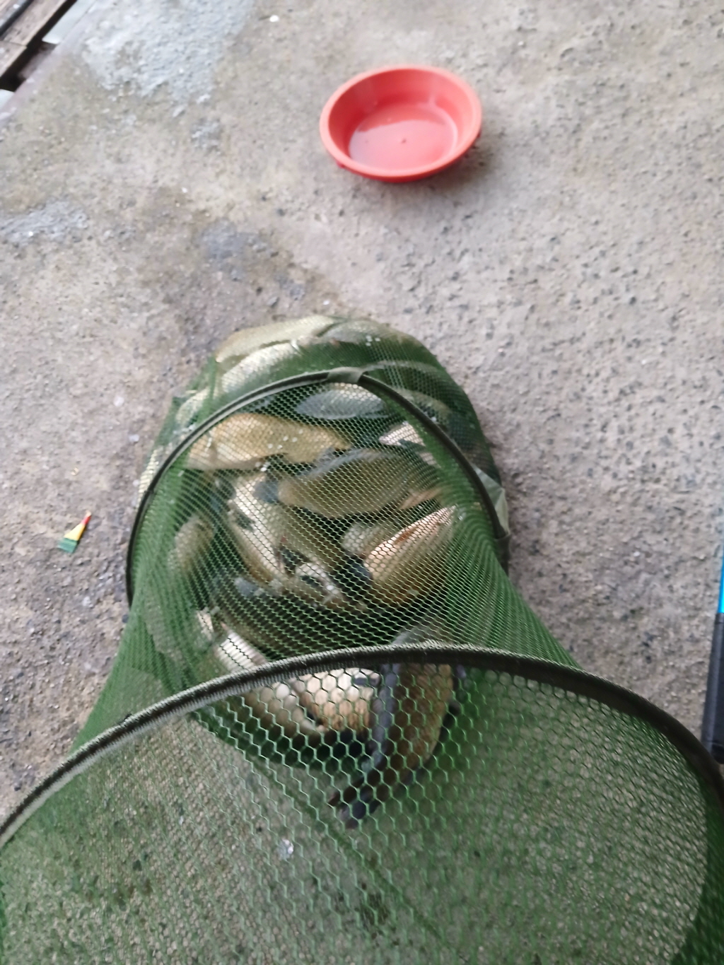 abKakaoTalk_20260909_064851920.jpg