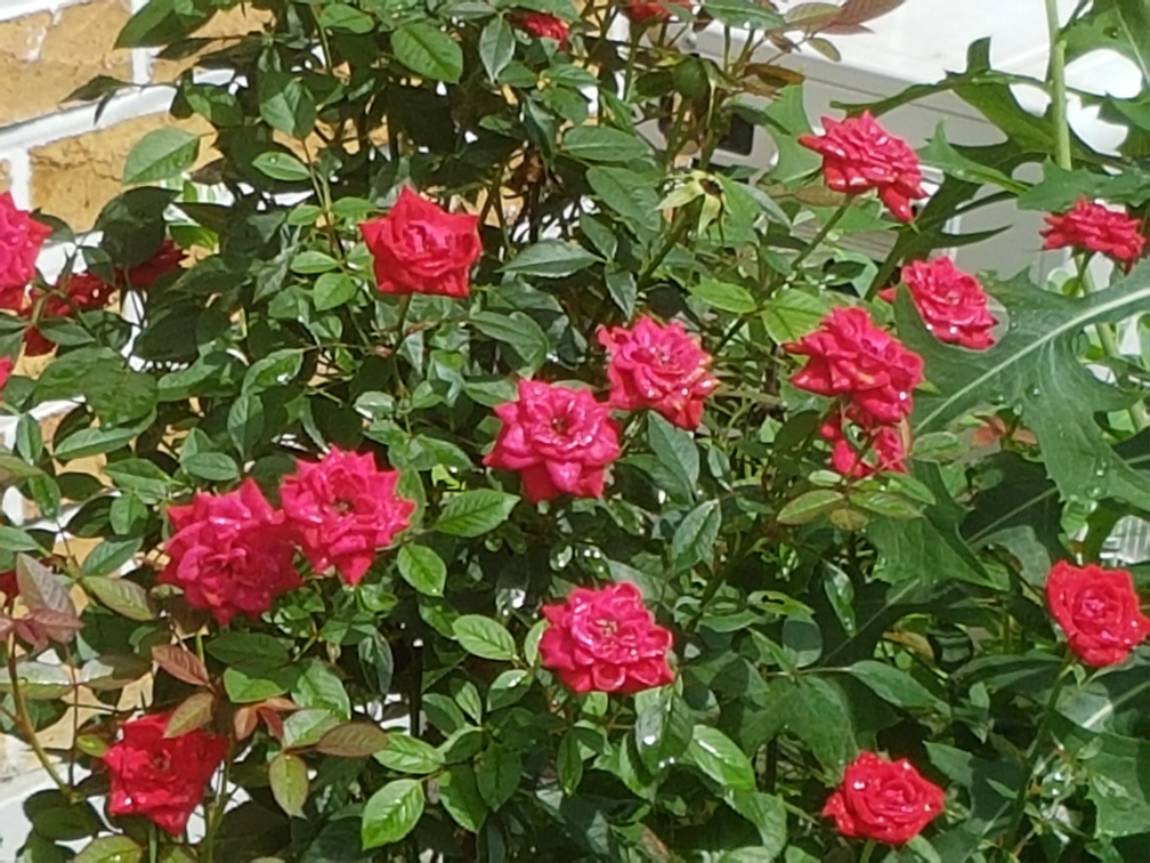 20170801_103050.jpg