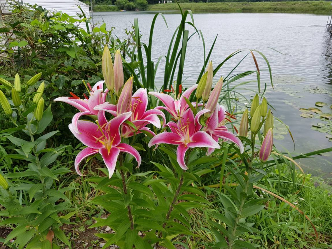 20170715_130148.jpg