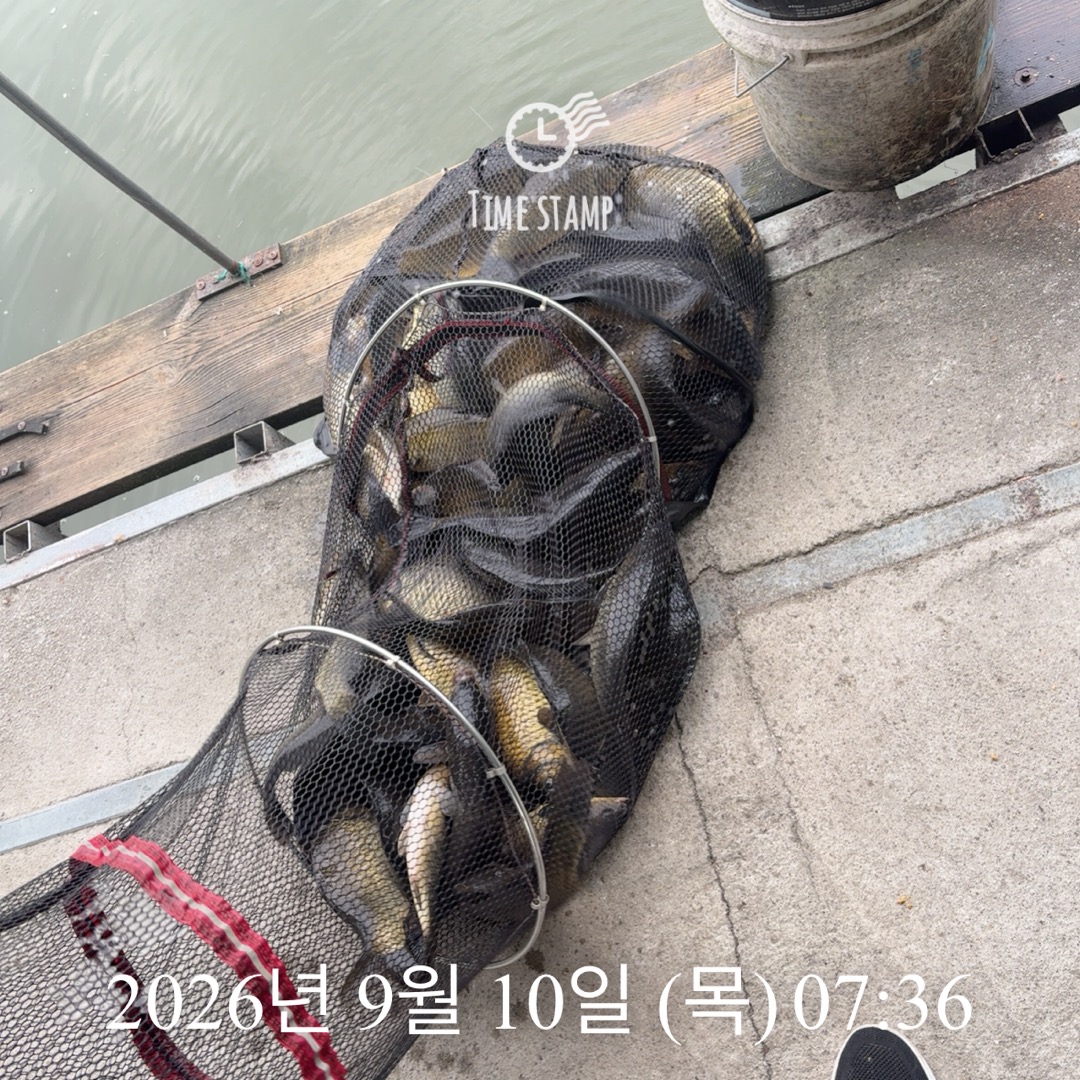 KakaoTalk_20260910_075418225_02.jpg