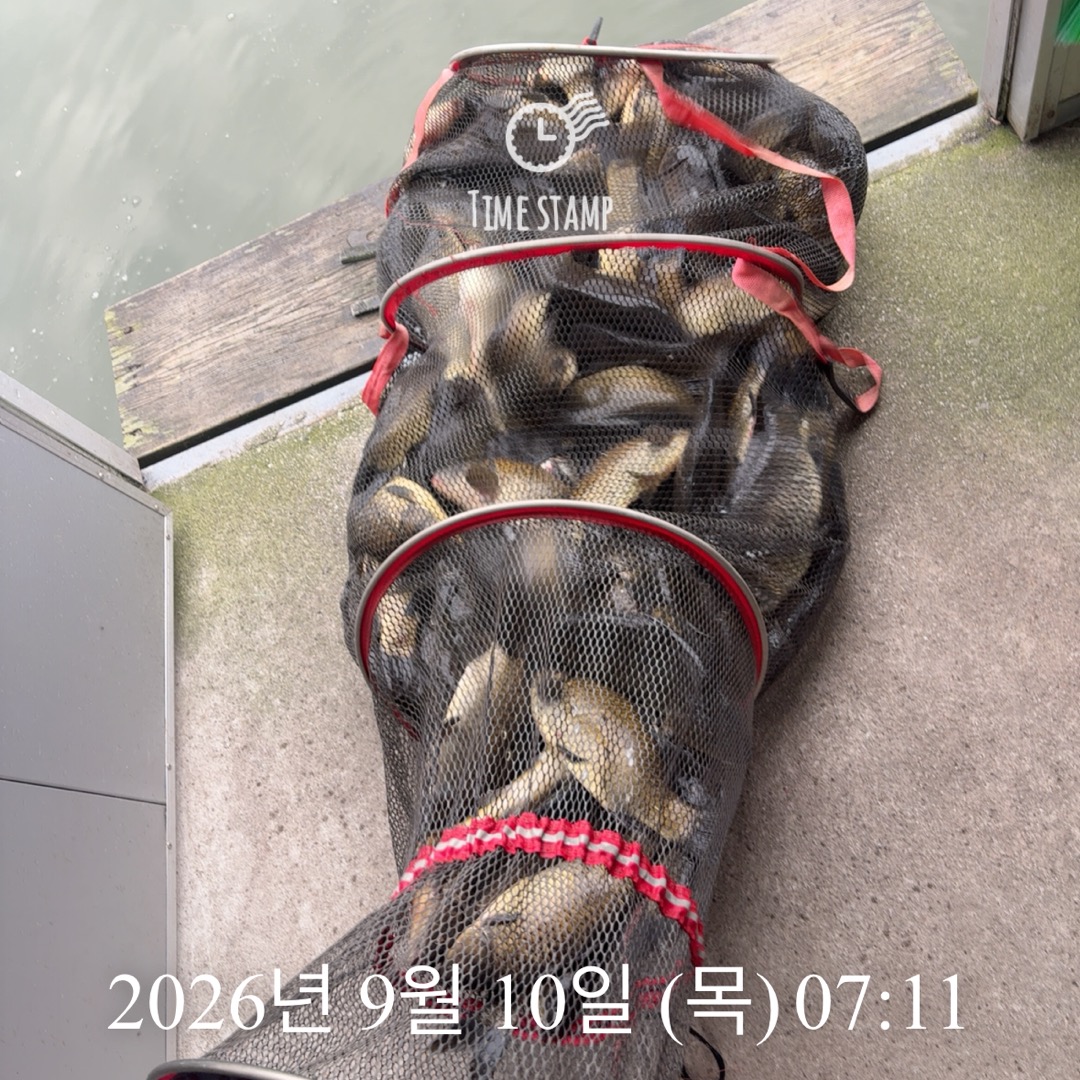KakaoTalk_20260910_075418225_03.jpg