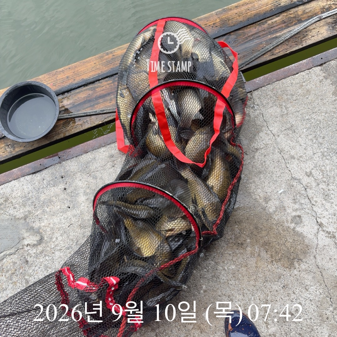 KakaoTalk_20260910_075418225.jpg