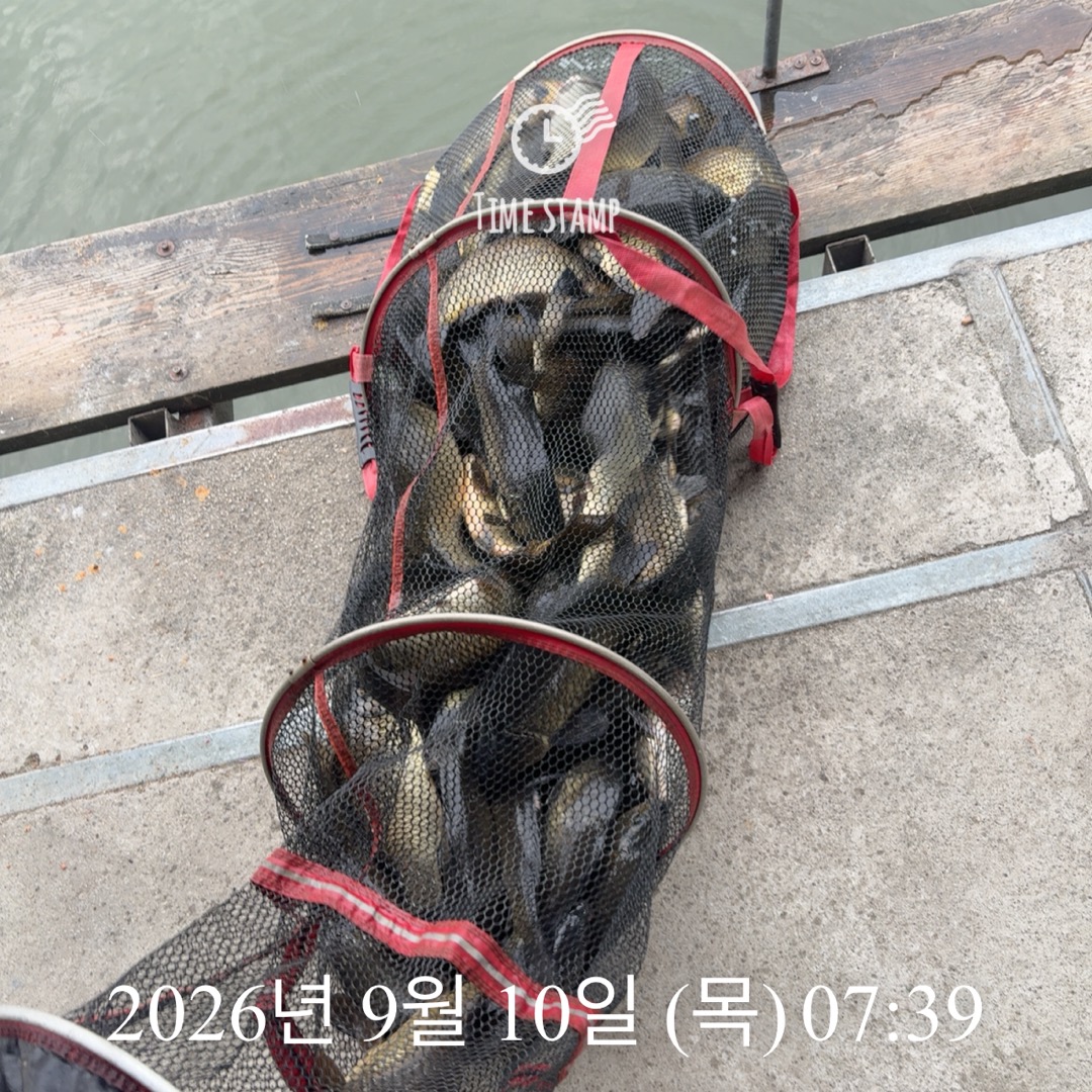 KakaoTalk_20260910_075418225_01.jpg