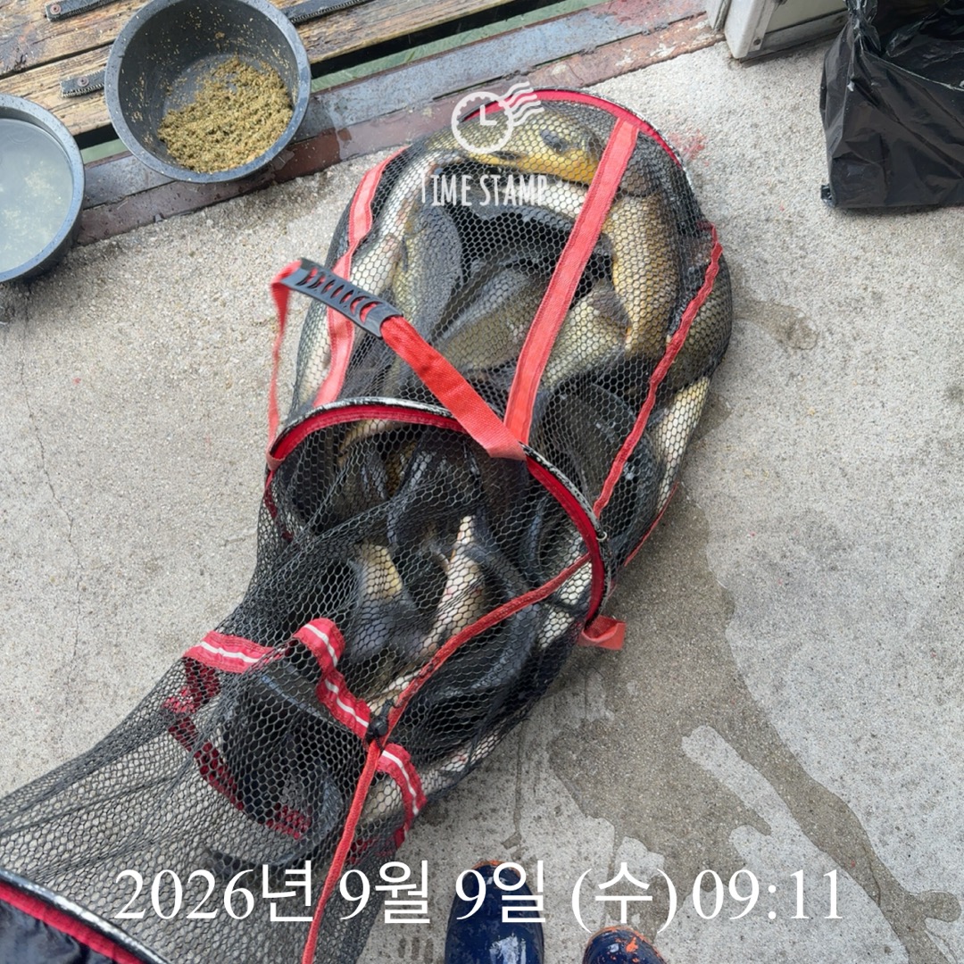 KakaoTalk_20260910_075418225_05.jpg