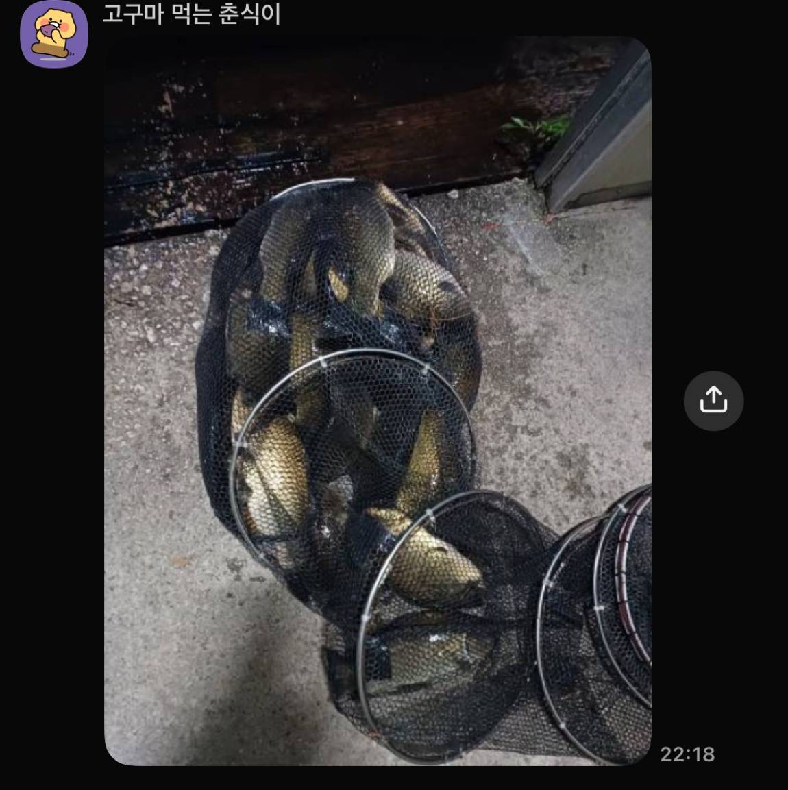 KakaoTalk_20260910_075418225_07.jpg