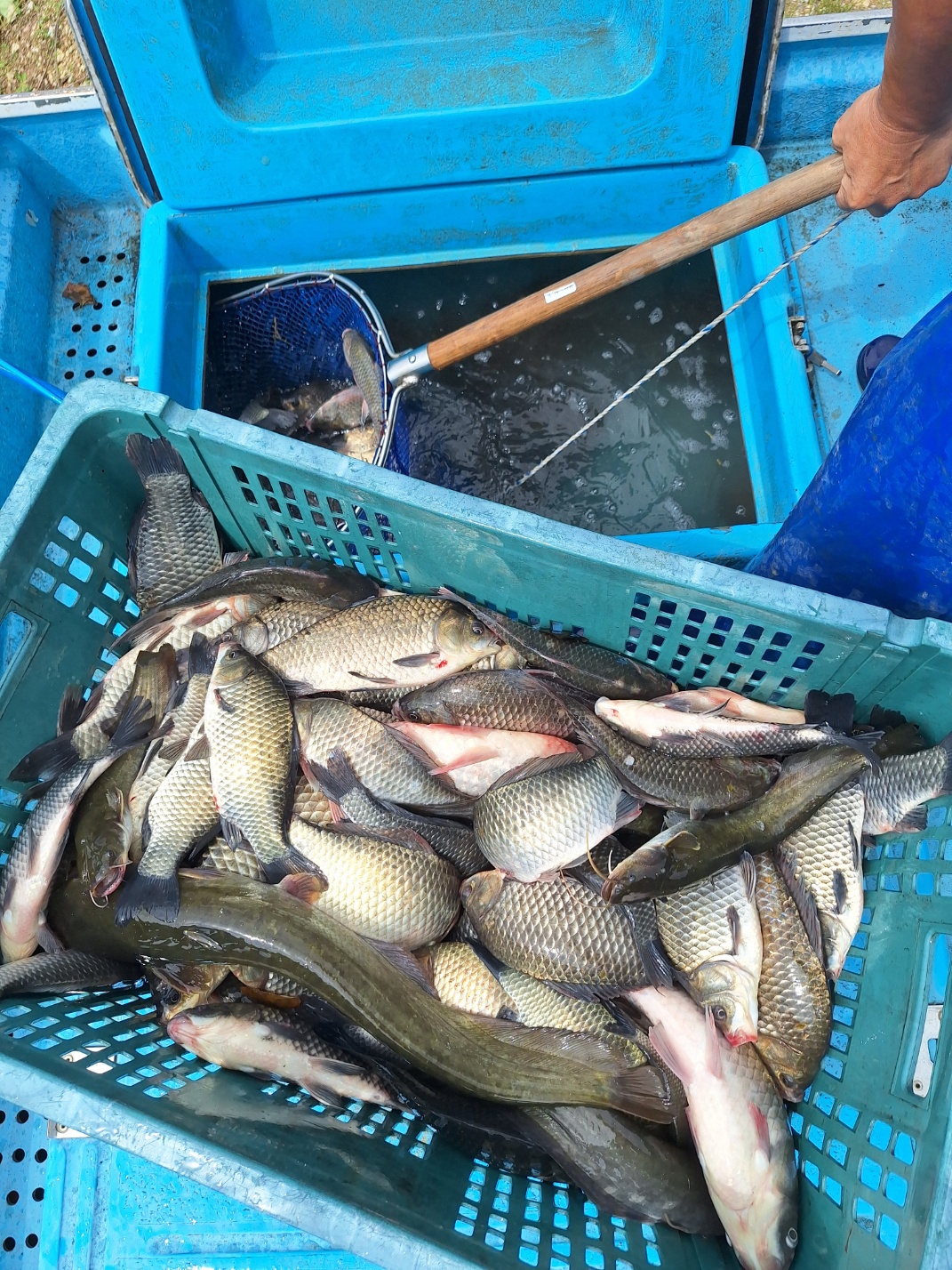 KakaoTalk_20260910_093214986_02.jpg