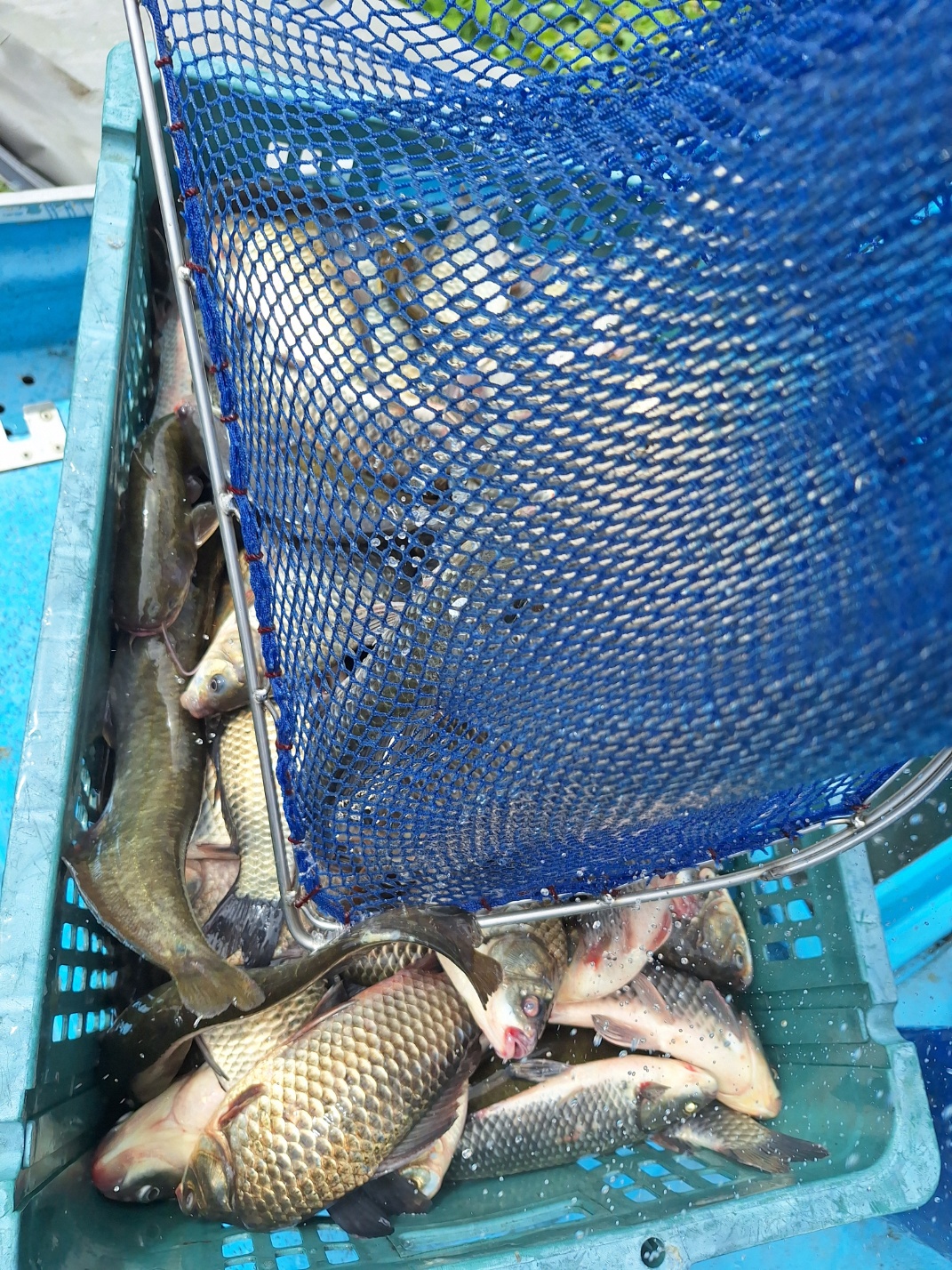 KakaoTalk_20260910_093214986_04.jpg
