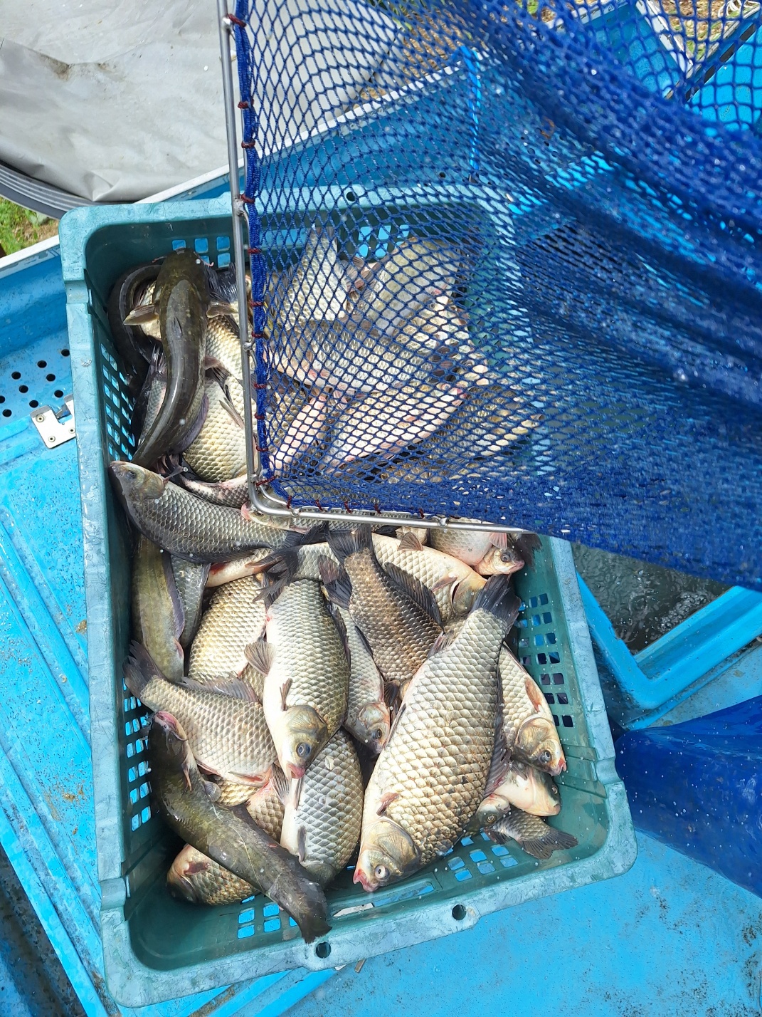 KakaoTalk_20260910_093214986_05.jpg