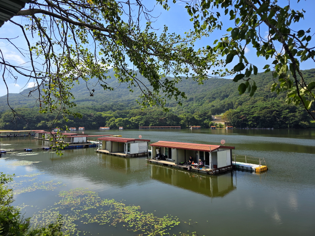 abKakaoTalk_20260913_102519846.jpg