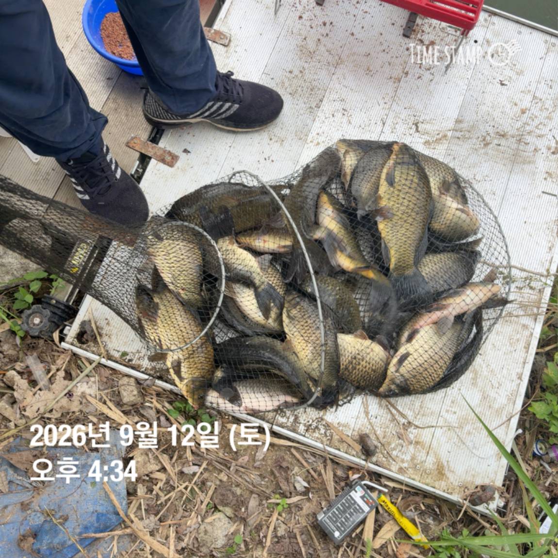 KakaoTalk_20260914_114500611_02.jpg