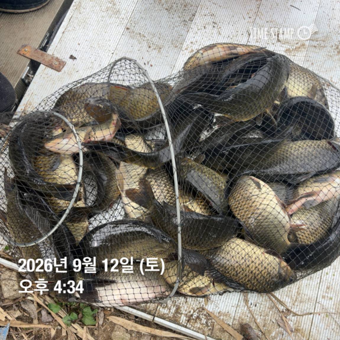 KakaoTalk_20260914_114500611_03.jpg