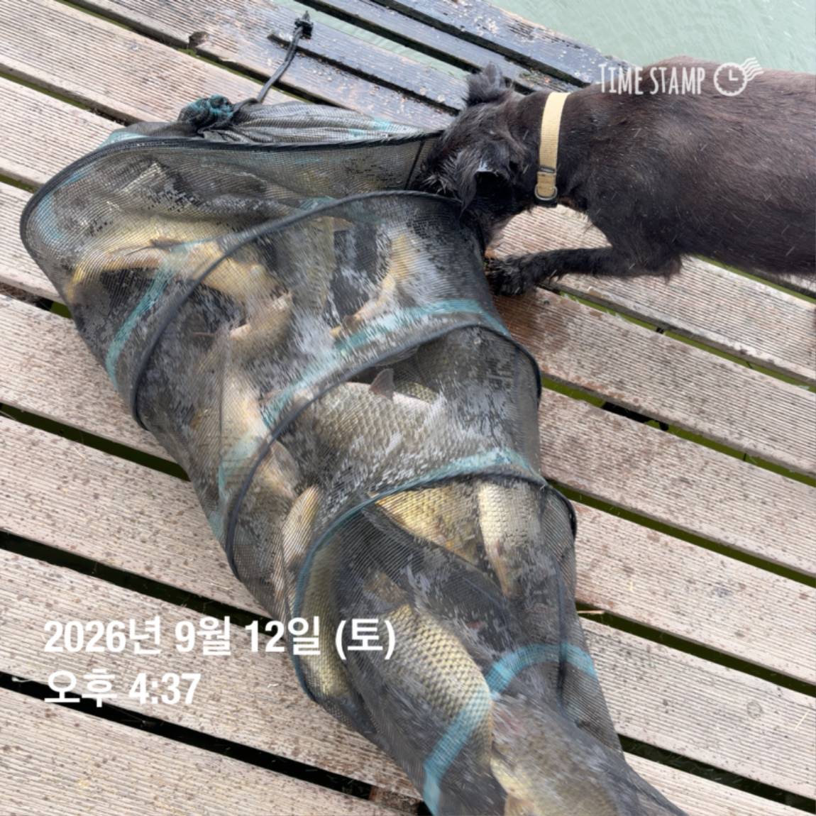 KakaoTalk_20260914_114500611_07.jpg