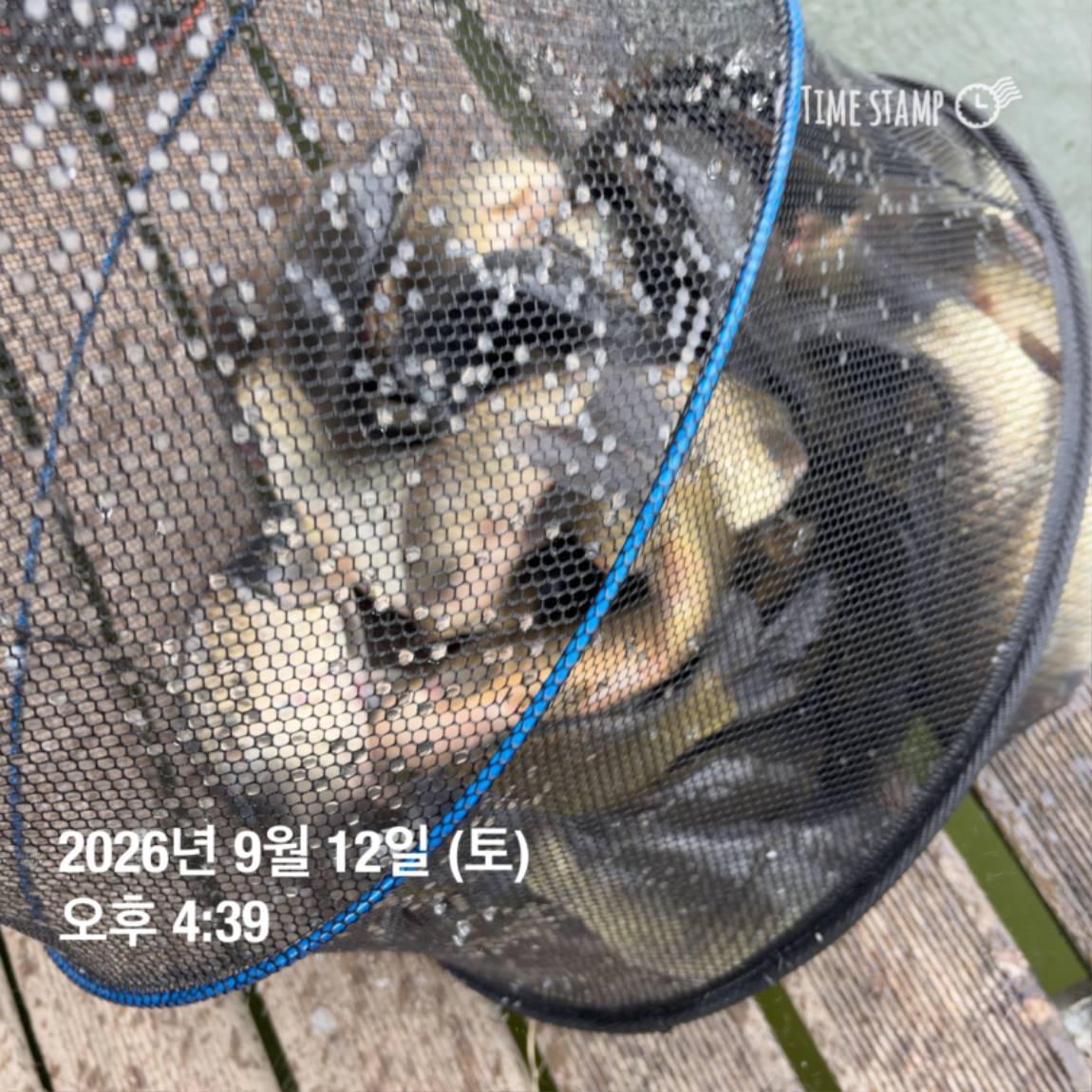 KakaoTalk_20260914_114500611_08.jpg