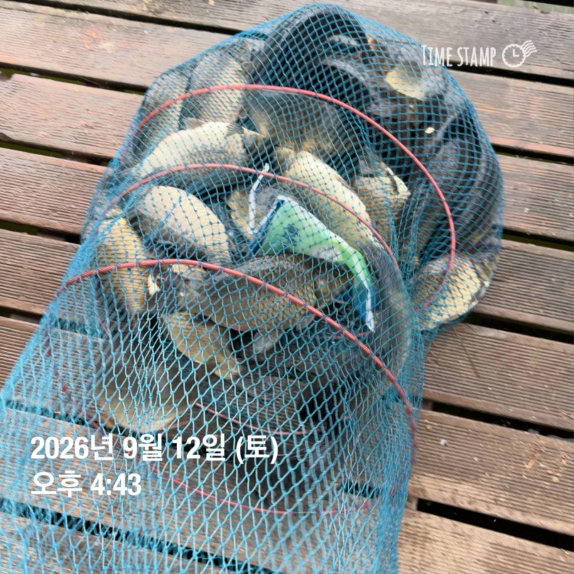 KakaoTalk_20260914_114500611_11.jpg