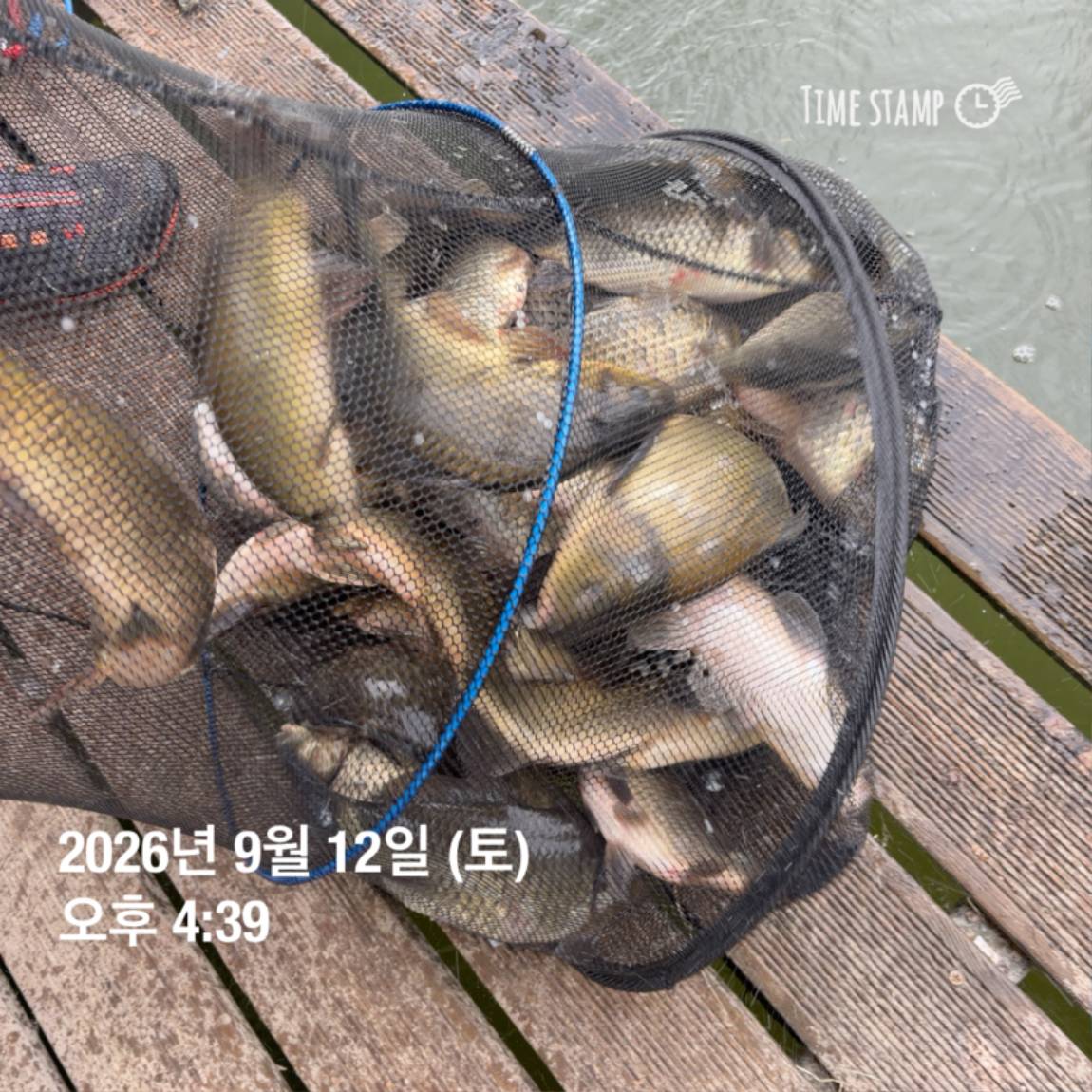 KakaoTalk_20260914_114500611_10.jpg