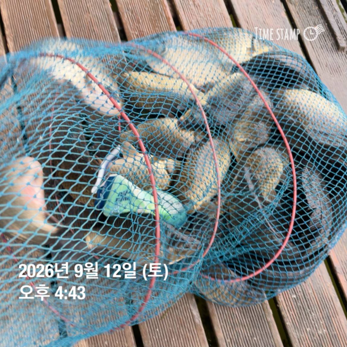 KakaoTalk_20260914_114500611_12.jpg