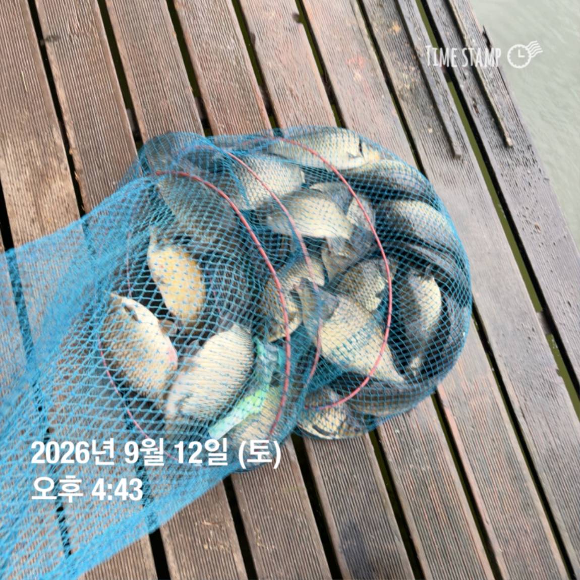 KakaoTalk_20260914_114500611_13.jpg
