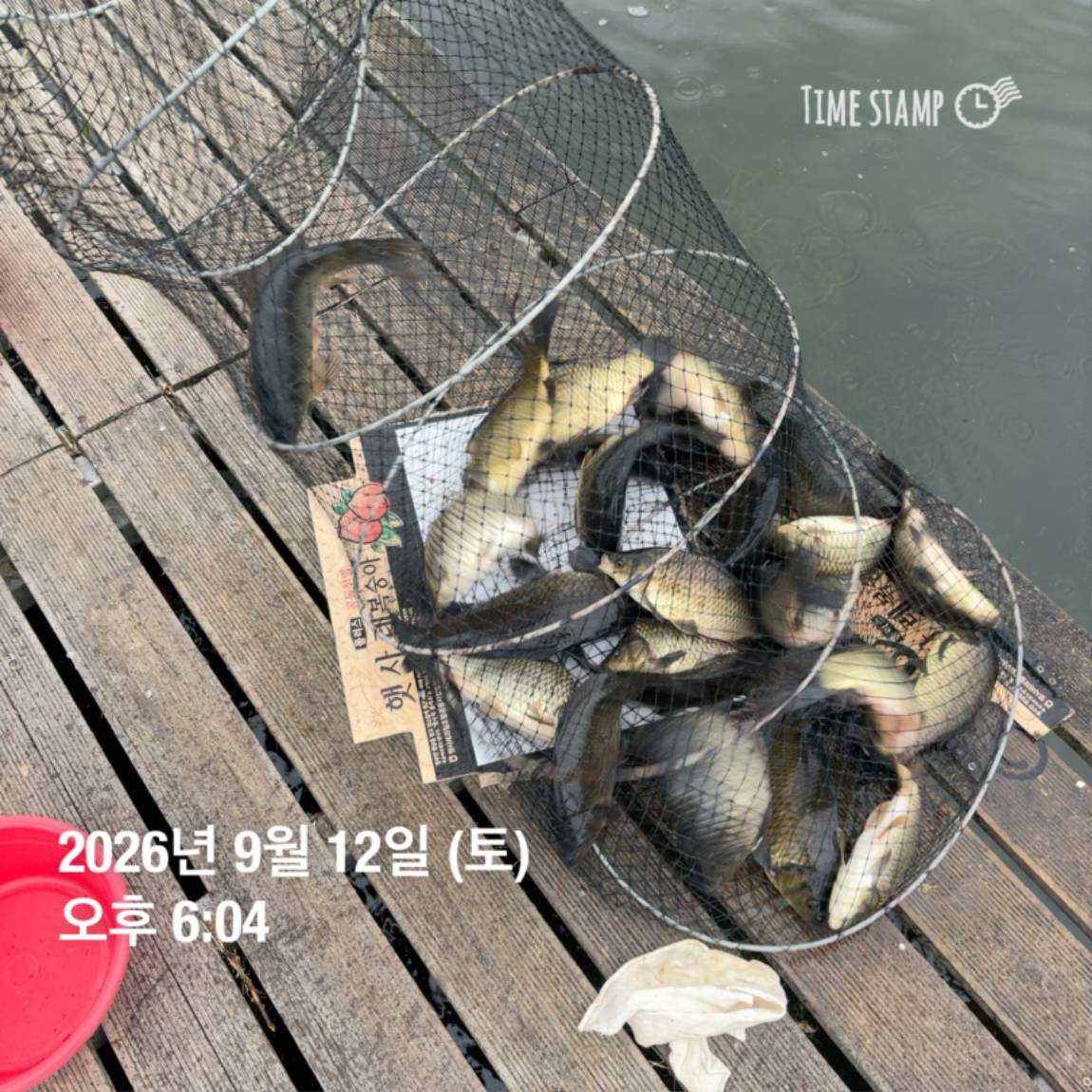 KakaoTalk_20260914_114500611_14.jpg
