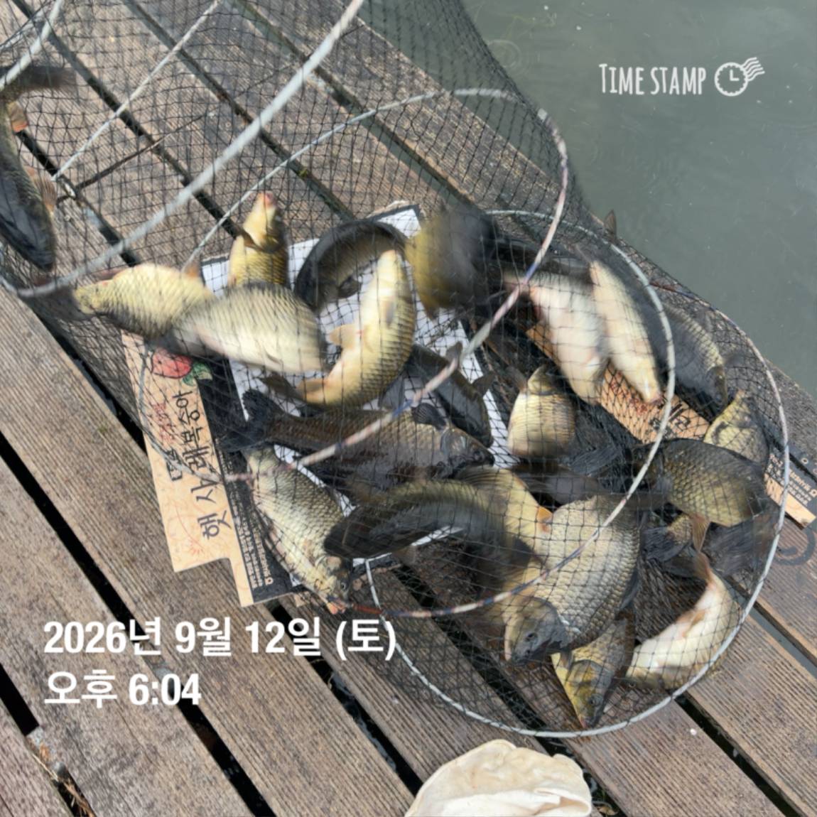 KakaoTalk_20260914_114500611_15.jpg