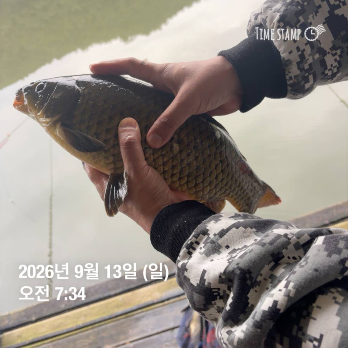 KakaoTalk_20260914_114500611_20.jpg