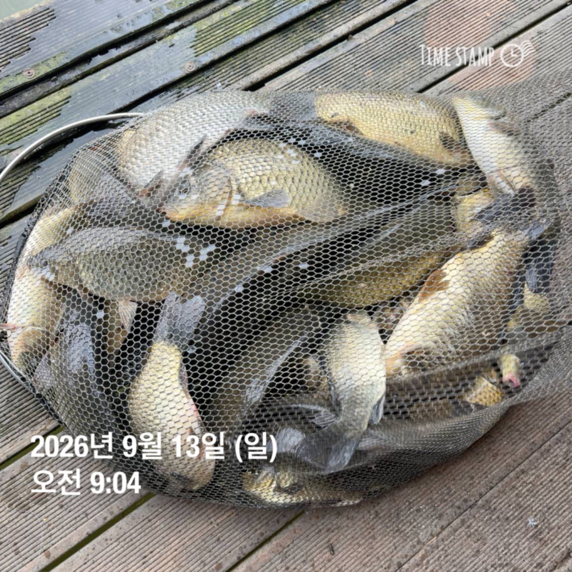 KakaoTalk_20260914_114500611_22.jpg