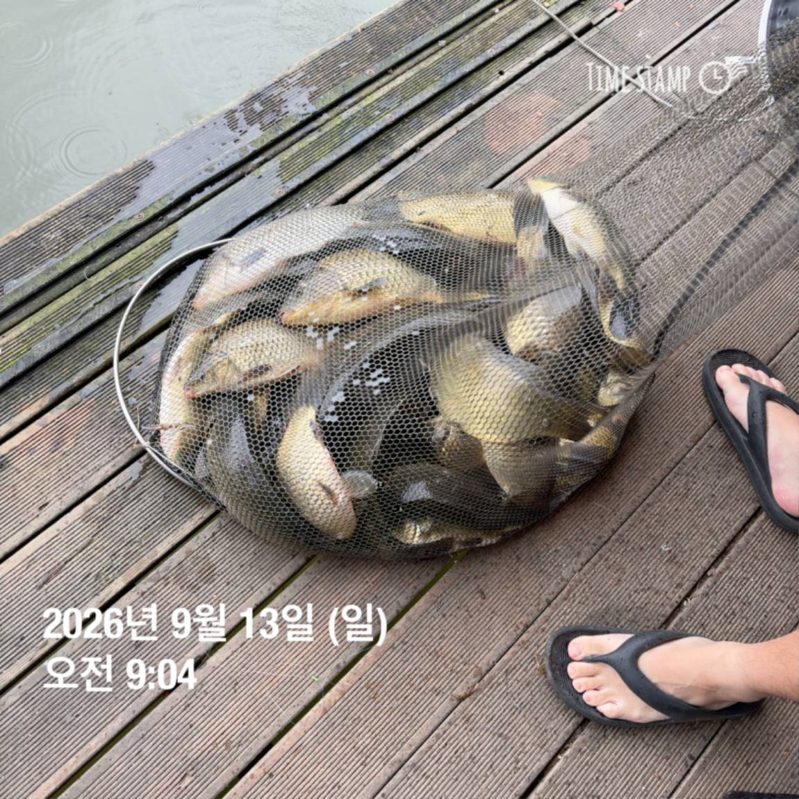 KakaoTalk_20260914_114500611_21.jpg