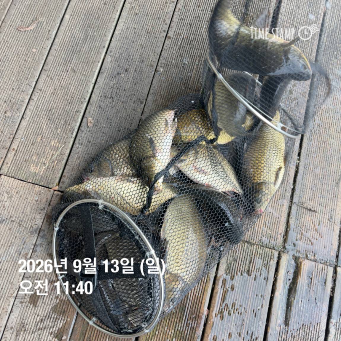 KakaoTalk_20260914_114500611_24.jpg