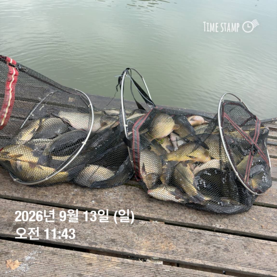 KakaoTalk_20260914_114500611_28.jpg