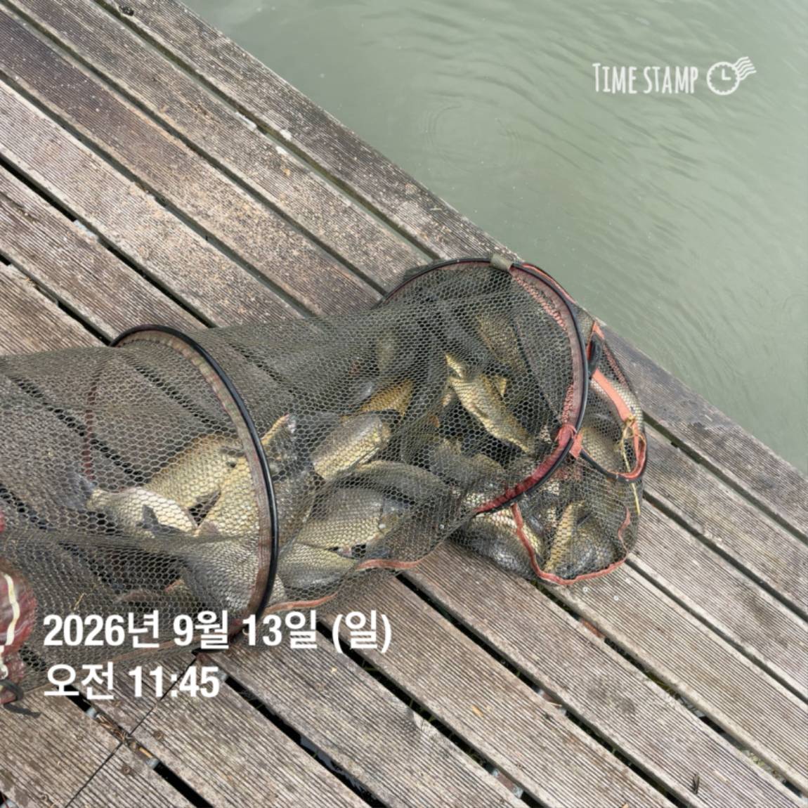 KakaoTalk_20260914_114500611_29.jpg