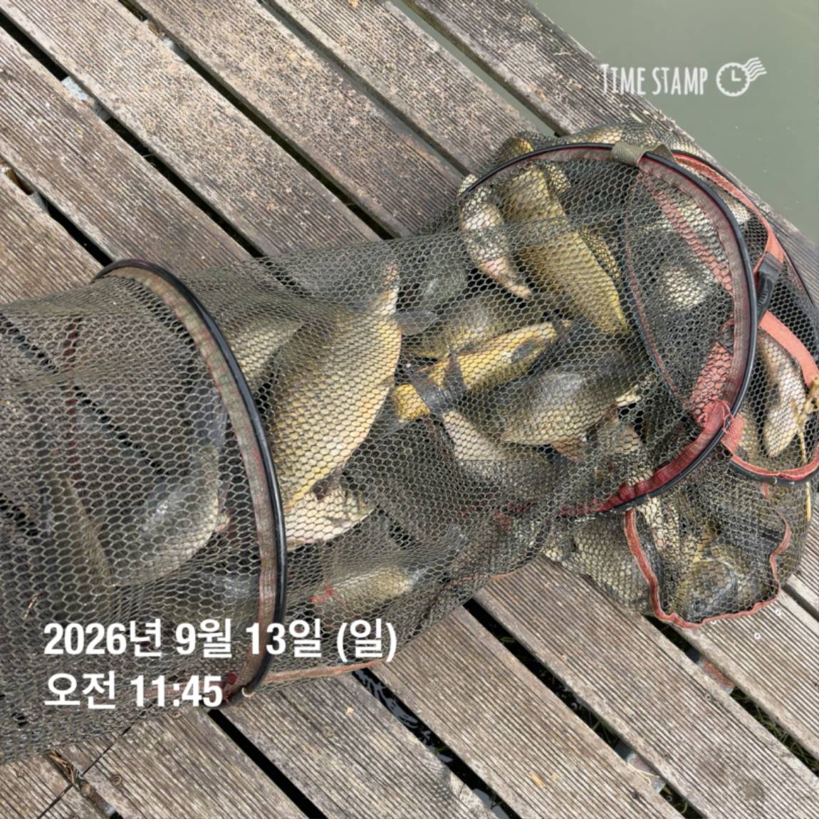 KakaoTalk_20260914_114505078.jpg